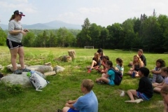 CIT leading program choice
