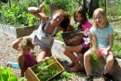 Garden Harvest