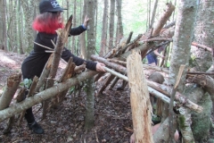 Shelter Building