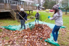 raking